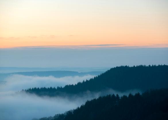 Les Ardennes belges, nature et authenticité